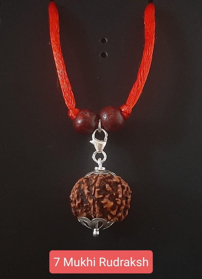 BD 7 Mukhi Rudraksha Silver Capped Pendant